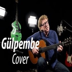 Paul Dwyer - Gülpembe