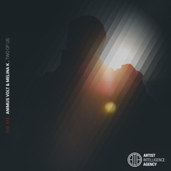 Animus Volt & Melina K - Two Of Us