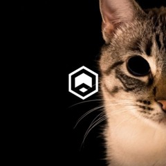 Supertask - How To Teach Your Cat About Gun Violence (EYEMC Remix)