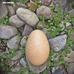 Egg