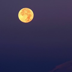 Mothership Connection 3 - A Tribute