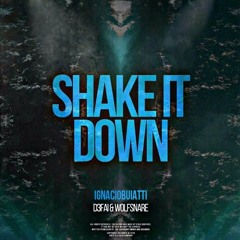 D3FAI & WOLFSNARE - Shake It Down (Buiatti Remix)
