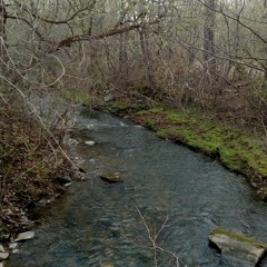 The Voices of 4: 17 AM