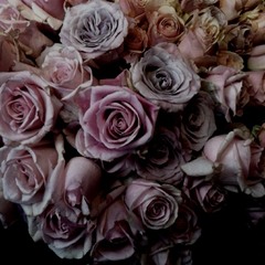 All Good-KushBandiKoot