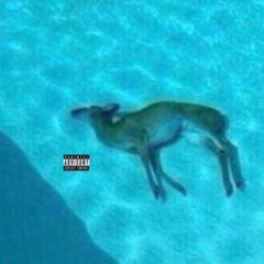 My Dolphin Don't Work prod. skel
