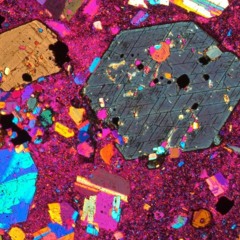 Trap Individuals Ft Dreatti Hargrove x Gonzo (Prod. UNAKNOWN)