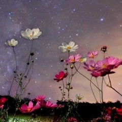 Yasushi Ishii - Cosmos