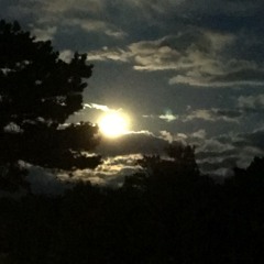 Antonio Carlos Jobim - Wave