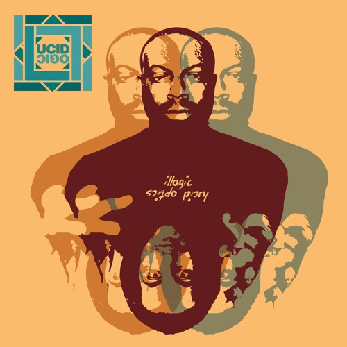 Lucid Logic - Honey Dew