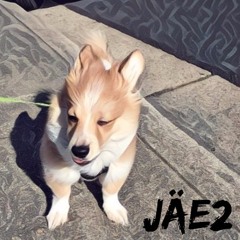 JÄE2