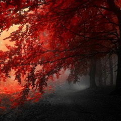 The Sound of Life Passing By (Voices in the Wind)