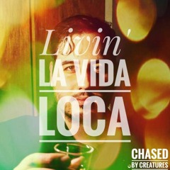 Livin' La Vida Loca (Ricky Martin Cover)