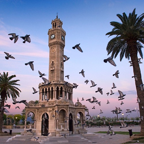 ومهاجر في الله