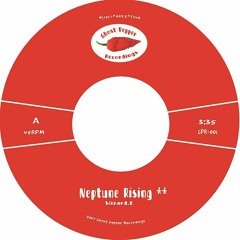 Wizard.E - Neptune Rising    * Out now on  7"  vinyl *