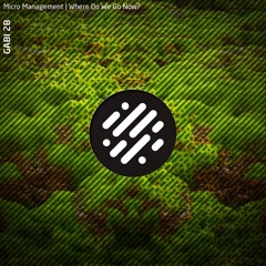 Micro Management [ SoundCloud Clip ]