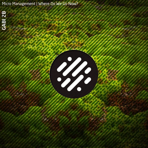 Micro Management [ SoundCloud Clip ]