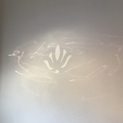 Kallie Lampel - Bayonne