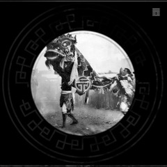 Pellis & Van Beers - Amur