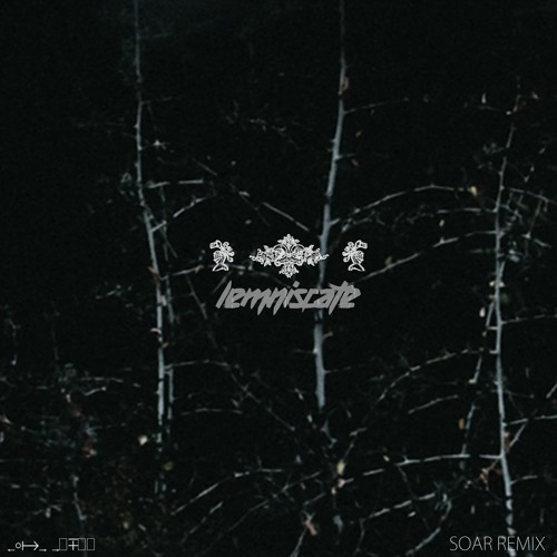 Crywolf - Lemniscate (Soar Remix)