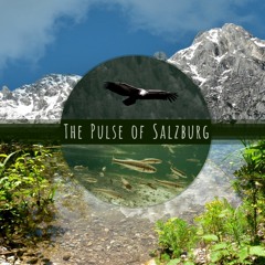 The Pulse of Salzburg - Main Theme