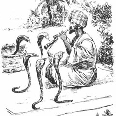 Snake Charming