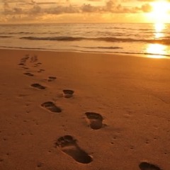 What Can I Do Without You