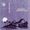 Iguana&#x20;Moonlight III Artwork