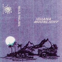 Iguana Moonlight "III"