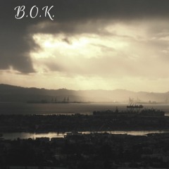 B.O.K. (feat. Nikki Silvestri)