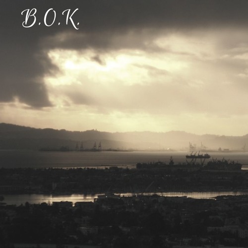 B.O.K. (feat. Nikki Silvestri)