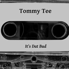 TOMMY TEE - BITCHES ON THE DICK