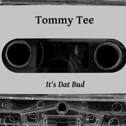 TOMMY TEE - BITCHES ON THE DICK