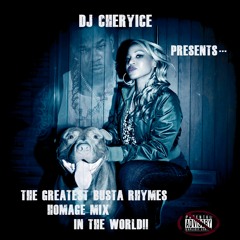 THE GREATEST BUSTA RHYMES HOMAGE MIX IN THE WORLD!