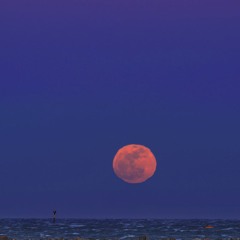 Lune rousse
