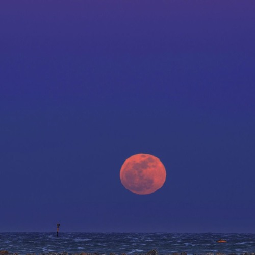 Lune rousse