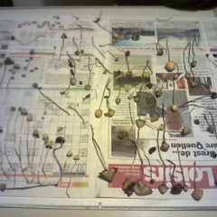 Footage 2 Girls Corps Baisés