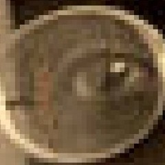 Zayn Malik - She  (omasaki remix)