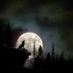 Wolf's Paradise