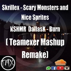Skrillex - Scary Monsters and Nice Sprites / KSHMR & DallasK - Burn ( Teamexer Mashup Remake)