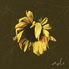 adi - sunflower (produced by S⇄P)