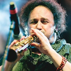 Canta Palestina - Enzo Avitabile(Remix Vincent Pisany)demo version