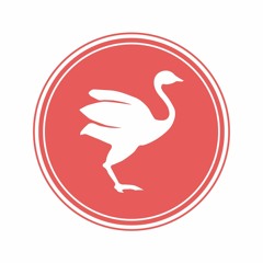 Pink Birds and Good Vibes