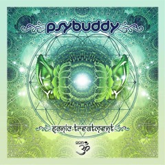 07 - PsyBuddy - Goa Vibration