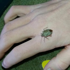 I'm So Happy I Have Friends Like You