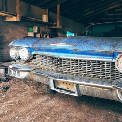 Ride Your Pony - Scotty & The Ligonaires