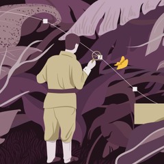 CSS Animation, Prototyping Tools, and Sources of Inspiration, with Donovan Hutchinson