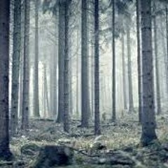 Woods (Prod. By Roger The Anim8r)