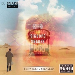 Sikdope Vs DJ Snake Vs Moksi - Snake Pigalle (Tom Jung MashUp)