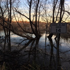 >>SizeMo<<UnderCurrent