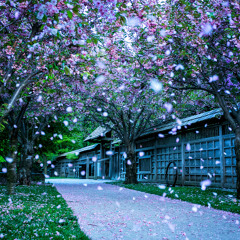 Metempsychosis ~輪廻転生~